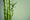 Bamboo: a natural, eco-friendly, and environmentally responsible material - One Planet UK