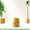 Bamboo toothbrush holder